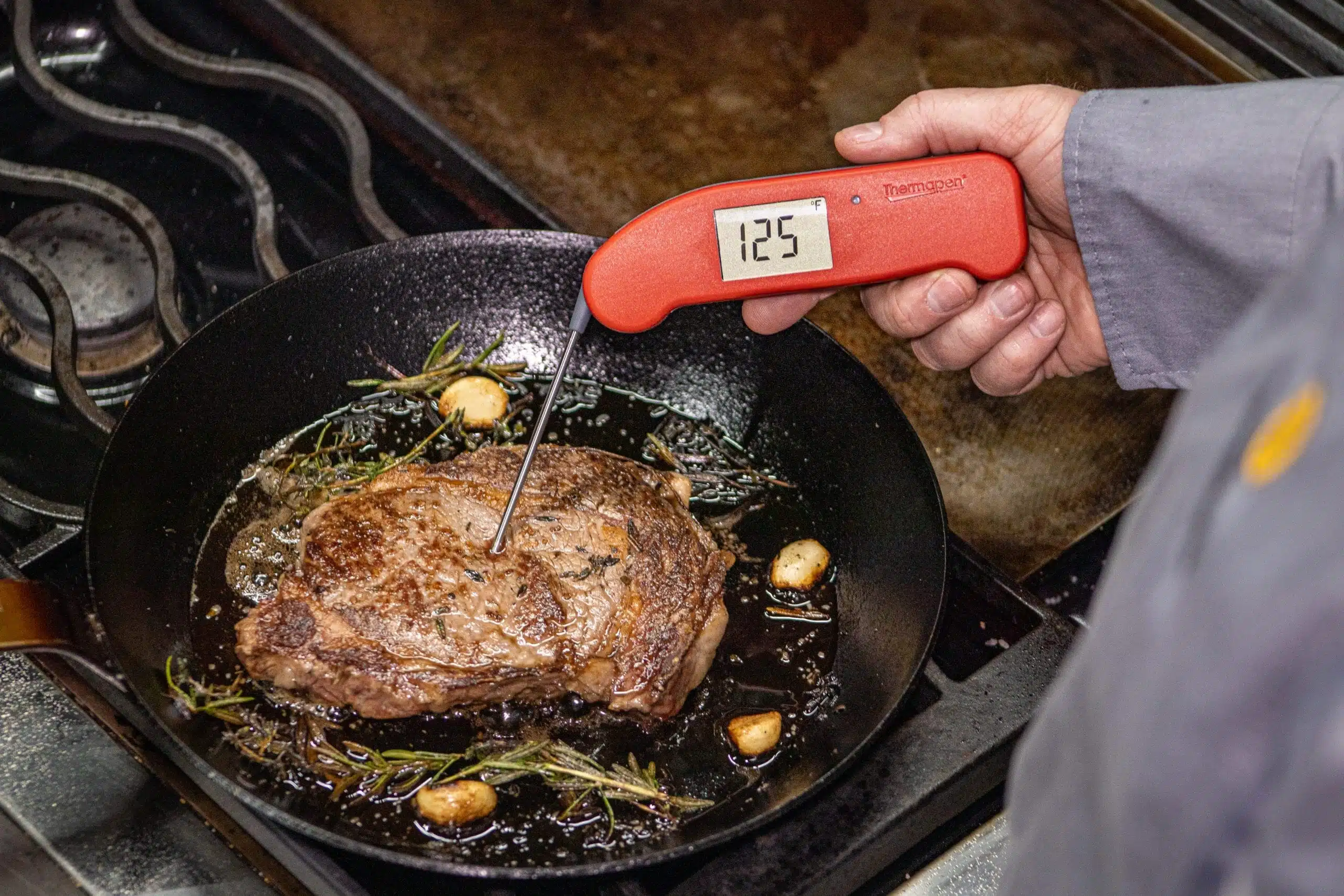 ThermapenONE with Steak