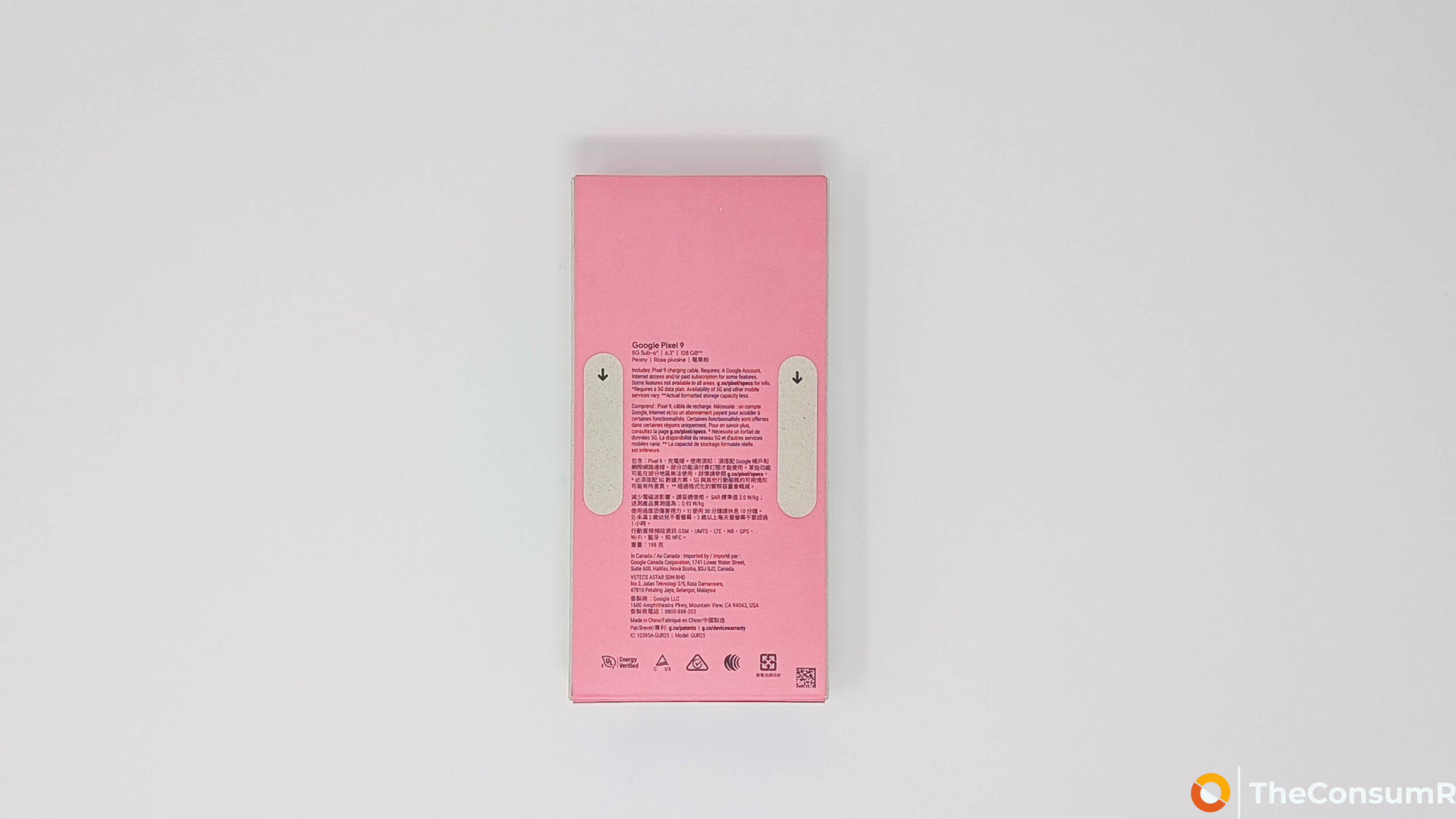 Google Pixel 9 review device In-Box Back